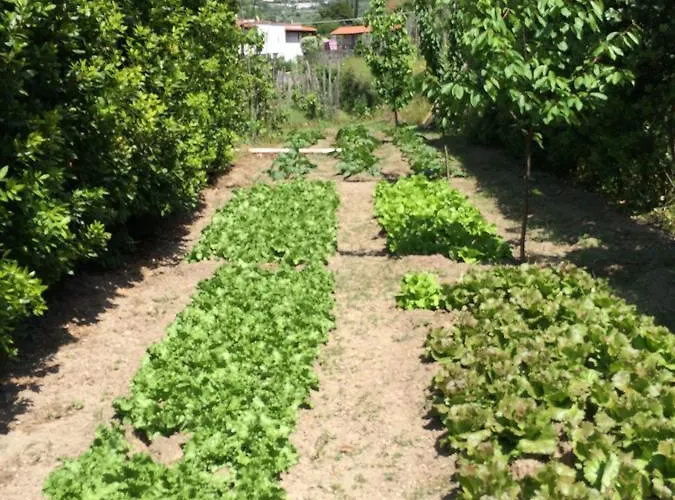 San Francesco Отель