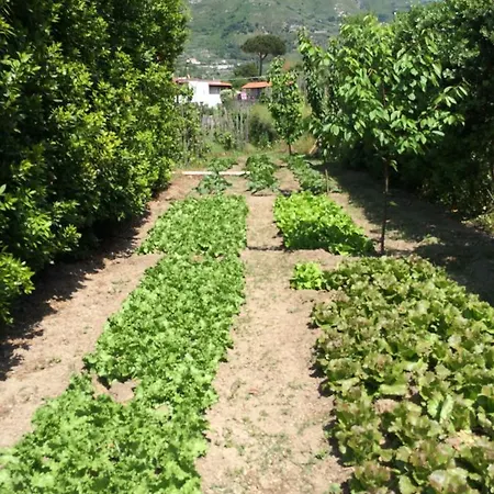 San Francesco 호텔